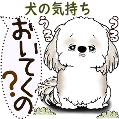 [LINEスタンプ] シーズー犬 2025 「犬の気持ち」