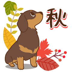 [LINEスタンプ] ダックス大好き【秋】チョコタン