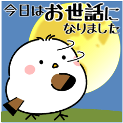[LINEスタンプ] 飛び出す！シマエナガの丁寧な敬語
