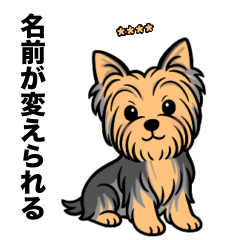 [LINEスタンプ] 名前入りヨーキーブルータン