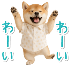 [LINEスタンプ] 飛び出す！柴犬の日常スタンプ