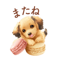 [LINEスタンプ] ミニチュアダックス×スイーツ♡使いやすい