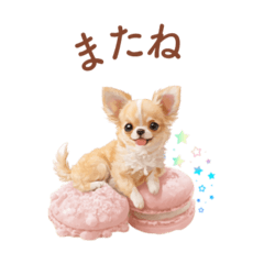 [LINEスタンプ] チワワ×スイーツ♡使いやすい日常スタンプ