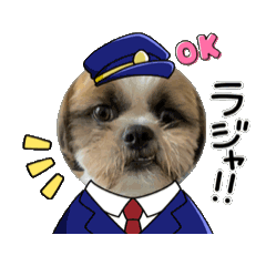 [LINEスタンプ] シーズー犬クッキー① 