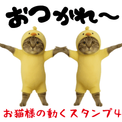 [LINEスタンプ] お猫様の動くスタンプ4