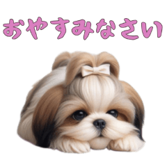 [LINEスタンプ] ほっこりシーズーの日常