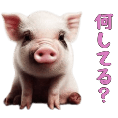 [LINEスタンプ] マイクロブタ達の日常1