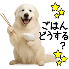 [LINEスタンプ] グレートピレニーズ★毎日使う家族連絡