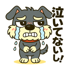 [LINEスタンプ] シュナウザーの日常.ツンデレ顔でかver.②