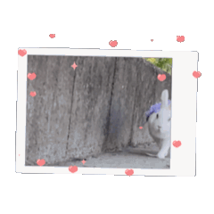 [LINEスタンプ] うさぎのコナン家 群青の動くスタンプ