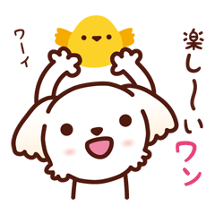 [LINEスタンプ] マルチーズ_たのしい日常