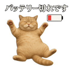 [LINEスタンプ] 日常使い 猫がそばにいる2