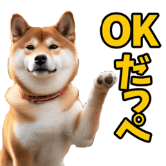 [LINEスタンプ] 茨城弁☆柴犬