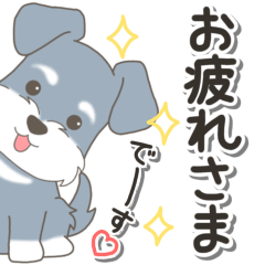 [LINEスタンプ] やさしいシュナウザー『仕事＆連絡』