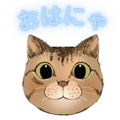 [LINEスタンプ] 和猫かふぇイラストスタンプ