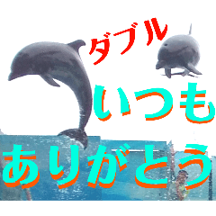 [LINEスタンプ] イルカショースタンプ1