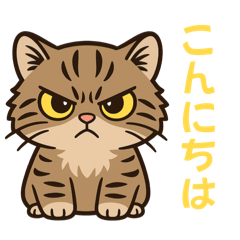 [LINEスタンプ] ツン顔マヌルねこ