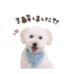 [LINEスタンプ] メイちゃん.スタンダード