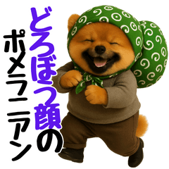 [LINEスタンプ] どろぼう顔のポメラニアン
