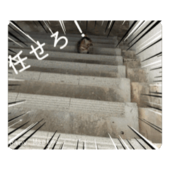 [LINEスタンプ] Baby Maples 2025 
