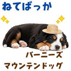 [LINEスタンプ] バーニーズの子犬♡毎日スタンプ