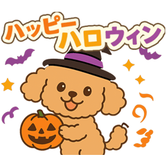 [LINEスタンプ] ハロウィン・誕生日 トイプードル【秋】犬