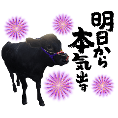 [LINEスタンプ] 畜産農家スタンプ