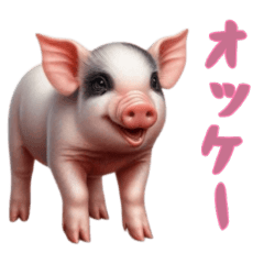 [LINEスタンプ] [オッケー専用]マイクロブタ達
