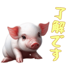 [LINEスタンプ] [了解です専用]マイクロブタ達