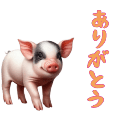 [LINEスタンプ] [ありがとう専用]マイクロブタ達