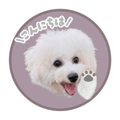 [LINEスタンプ] ぷぷの毎日スタンプ②