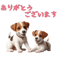 [LINEスタンプ] [ありがとう専用]ジャックラッセルテリア
