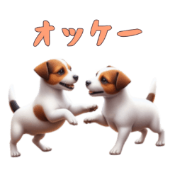 [LINEスタンプ] [オッケー専用]ジャックラッセルテリア