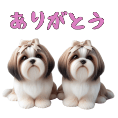 [LINEスタンプ] [ありがとう専用]ほっこりシーズー