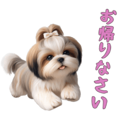 [LINEスタンプ] [お帰りなさい専用]ほっこりシーズー