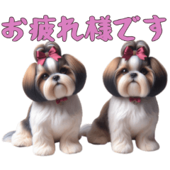 [LINEスタンプ] [お疲れ様です専用]ほっこりシーズー