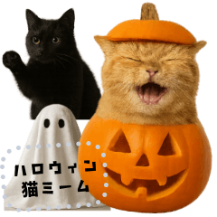 [LINEスタンプ] 書き込める♥ハロウィンな猫ミーム