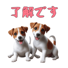 [LINEスタンプ] [了解です専用]ジャックラッセルテリア