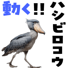 [LINEスタンプ] 動く！ハシビロコウ