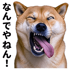 [LINEスタンプ] 爆笑セリフ40連発！
