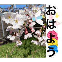 [LINEスタンプ] あと少しね