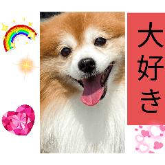 [LINEスタンプ] ウナくん▪️ドリーちゃん