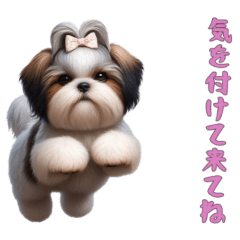 [LINEスタンプ] [気を付けて来てね専用]ほっこりシーズー