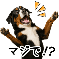 [LINEスタンプ] バーニーズマウンテンドッグ★即返信！