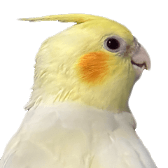 [LINEスタンプ] ネギカモインコ 1