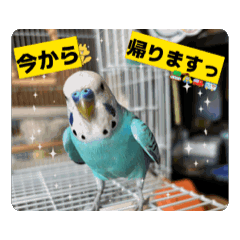 [LINEスタンプ] ラムラム's 