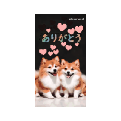 [LINEスタンプ] ドリーちゃん① 
