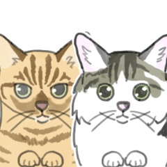 [LINEスタンプ] ねこのいも＆まっつぁん スタンプ