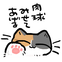 [LINEスタンプ] わたしの三毛猫ちゃん