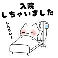 [LINEスタンプ] よわよわ猫 病気・入院編